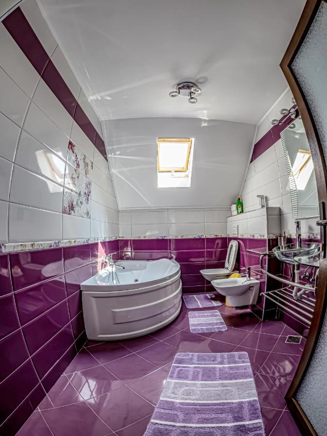 Pojorîta Casa Iulia 빌라 외부 사진