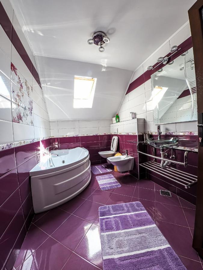 Pojorîta Casa Iulia 빌라 외부 사진
