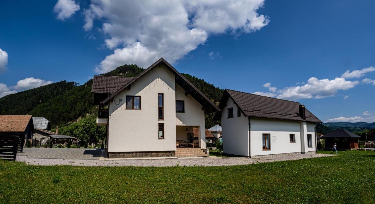 Pojorîta Casa Iulia 빌라 외부 사진